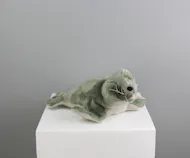 Sandy The Seal