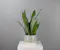  A stylish and resilient addition, it&rsquo;s ideal for brightening homes, offices, or contemporary d&eacute;cor.