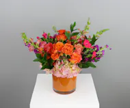 Tutti Frutti