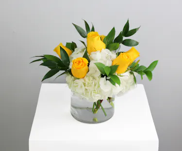 Half dozen roses with white hydrangea is a classic floral arrangement featuring a half dozen roses artfully arranged in a 5x5 clear glass cylinder vase