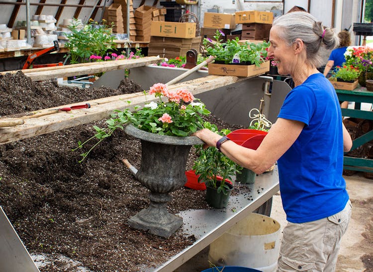 Radebaugh team caring for plants in greenhouse